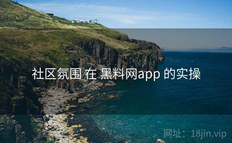 社区氛围 在 黑料网app 的实操