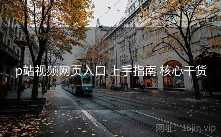 p站视频网页入口 上手指南 核心干货