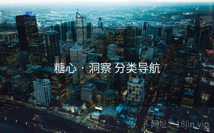 糖心 · 洞察 分类导航