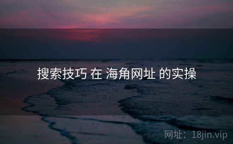 搜索技巧 在 海角网址 的实操