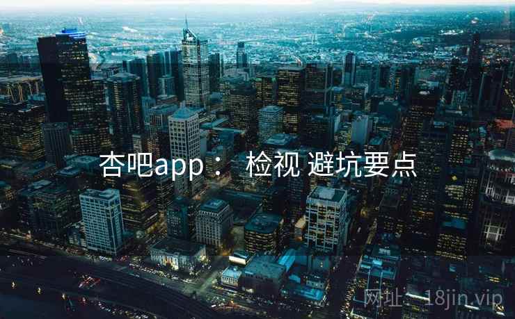 杏吧app : 检视 避坑要点