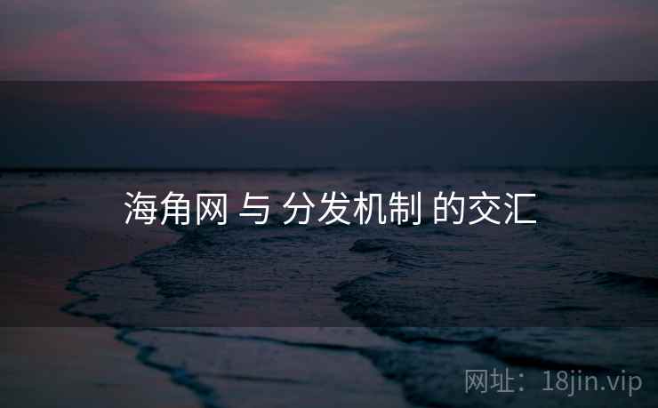 海角网 与 分发机制 的交汇