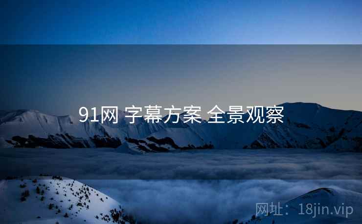 91网 字幕方案 全景观察 第2张 91网 字幕方案 全景观察 第2张