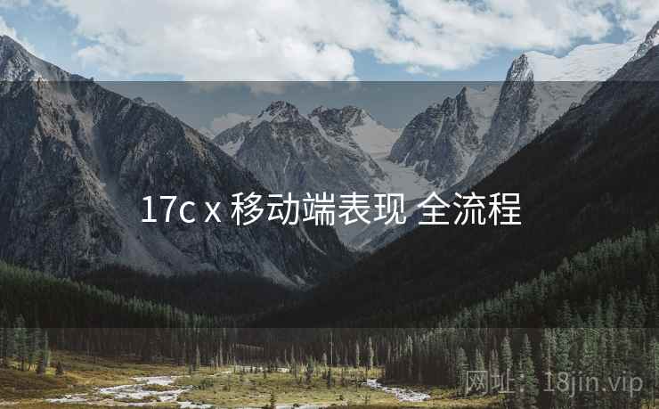 17c x 移动端表现 全流程