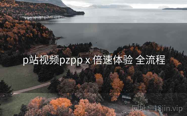 p站视频pzpp x 倍速体验 全流程